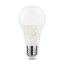 Modee Smart Lighting LED Globe A65 15W E27 270° 2700K (1521 lumen)